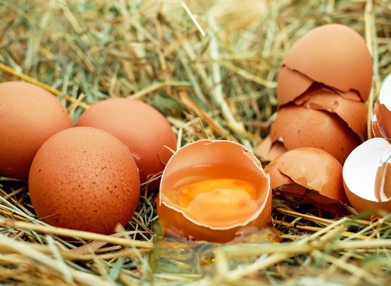 В Волгоградской области четвертую неделю дешевеют куриные яйца